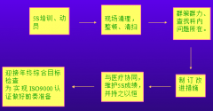 医院5S管理的实施推广