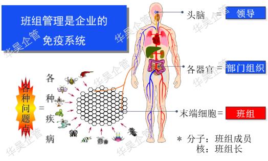 为什么要推行精益五星班组