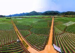 河南省烟草精益生产成果